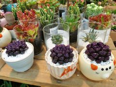 -双季花艺园艺市场(浦东店)