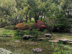 -上海滨江森林公园