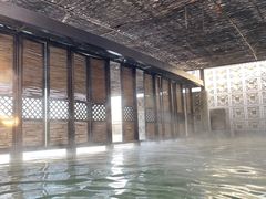 -春晖园度假酒店温泉