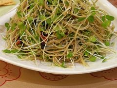 -金玉满堂酒店(西四环店)