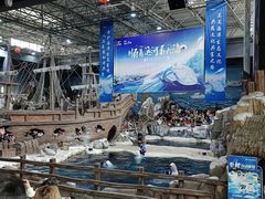 -杭州长乔极地海洋公园
