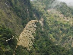 -太鲁阁公园