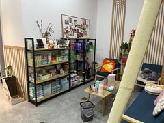 -山宅一喵德文卷毛猫舍