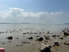 -深圳湾公园(南山区)