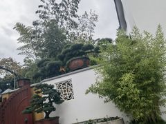 -龙华素斋(龙华路店)