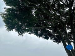 -火炉山森林公园
