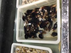 -钱小奴创意自助餐厅·山野黑猪肉畅吃(苏州昆山招商花园城店)