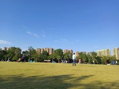 -凤岭儿童公园