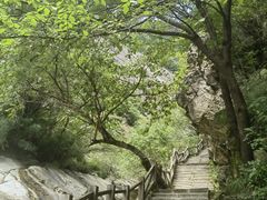 -朱雀国家森林公园