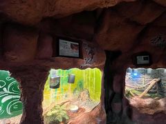 -上海大自然野生昆虫馆(东方明珠·爬宠昆虫探索中心)