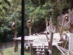 iphone_upload_pic-碧峰峡风景区