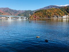 -富士山吉田線五合目