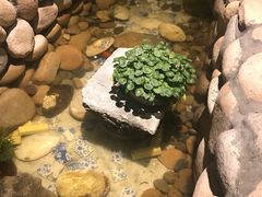 -馬蘭花開(车站大道店)