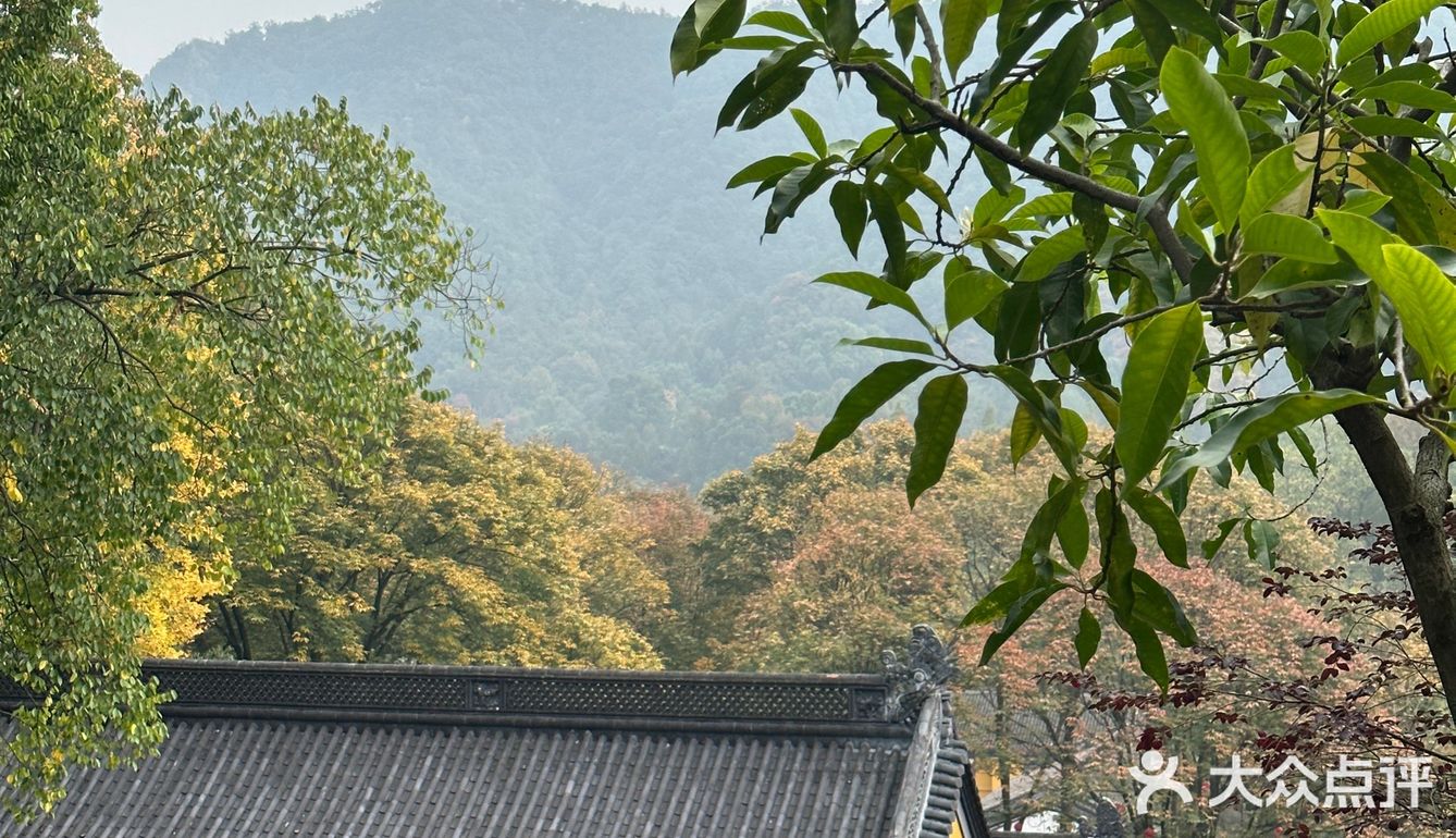 趁着最近的好天气☁️一起去法喜寺逛逛吧