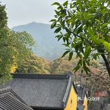 趁着最近的好天气☁️一起去法喜寺逛逛吧