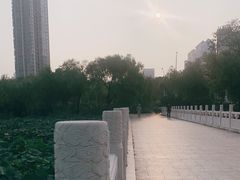 -天津水上公园