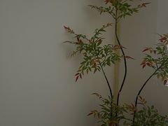 -沐森 •疗愈头疗馆(打浦桥店)