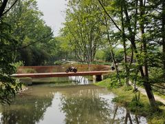 -桤木河湿地公园