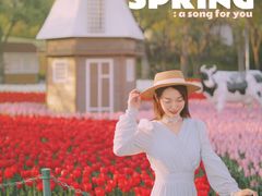 -大宁郁金香公园-停车场