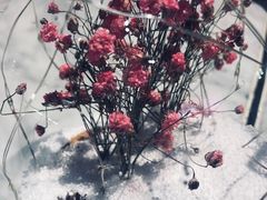 -哈根达斯(龙湖时代天街店)