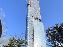 -紫峰大厦