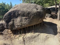 -白水寺森林公园