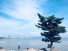 -东部华侨城