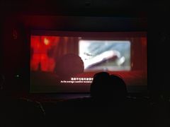 -万达影城(锦华万达广场IMAX店)