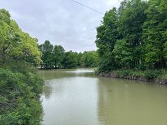 -上海海湾国家森林公园