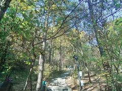 -吉林市朱雀山国家森林公园