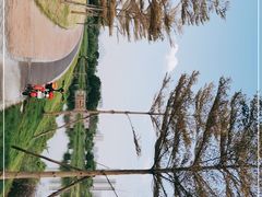 -飞来湖湿地公园