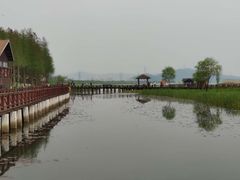 -太湖湖滨国家湿地公园-停车场