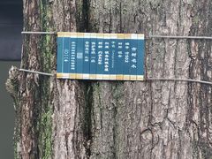 -苏州碑刻博物馆