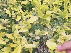 -陕西省红河谷森林公园