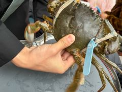 -Ministry of Crab•MOC(交子大道店)