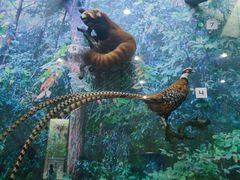 -国家自然博物馆