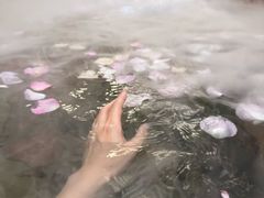 -美的鹭湖森林度假区