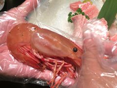 -和一料理(安阳店)
