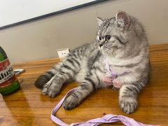 -新疆阿凡提烧烤(泾水路店)