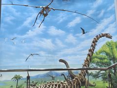 -辽宁古生物博物馆