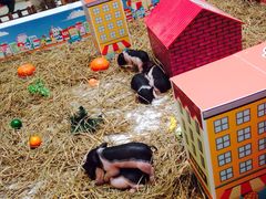 -万达广场(南宁青秀店)