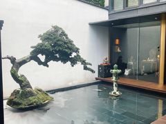 -觀芷隐轩