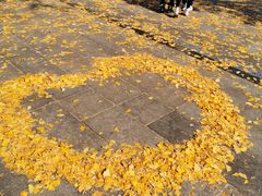 -两江幸福广场