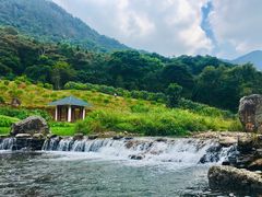 -广州市石门国家森林公园
