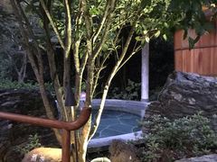 -和顺柏联温泉