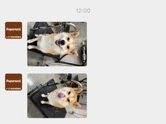 -帕帕拉兹宠物(亚洲旗舰店)