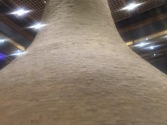 -沐泷泉(南风大剧院店)