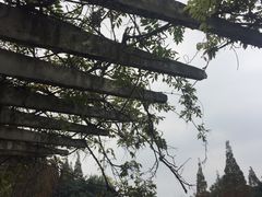 -西南交通大学(九里校区)