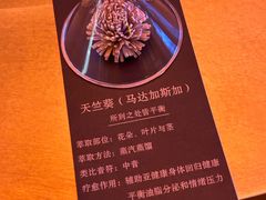 -舒小悦·舒养SPA·古法推拿(光环中心店)