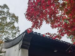 -惠山古镇·寄畅园